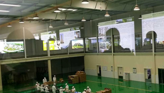2015全国百家网络媒体甘肃行参访团听取情况介绍 陇南祥宇——武都油橄榄产业的领头羊