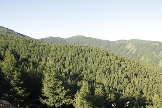 在青山绿水中铸就“金山银山” 在青山绿水中铸就“金山银山”——兴和县推进生态文明建设综述