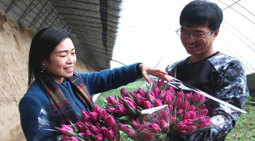 12月20日,在一家花卉基地的大棚内花香四溢,几位市民正在选购郁金香。 呼和浩特市赛罕区特色种植成功转型