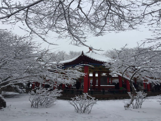 冬季青城公园 冬季青城公园:城市的天然绿肺