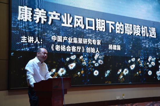 本文作者杨建国做主旨演讲 老杨会客厅助力鄢陵康养产业招商市场化