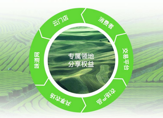 《老梅有约》走进味道网 探讨农业三产融合