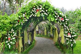 花海阁首席司仪海风任精武门婚礼司仪领头羊_