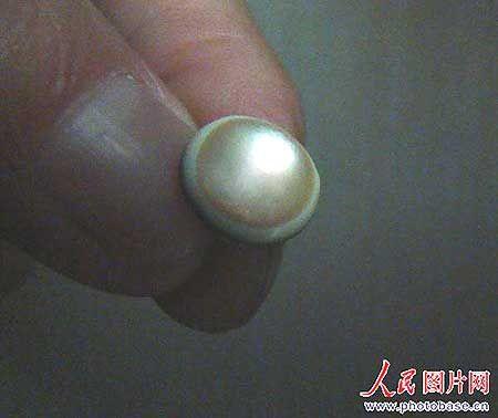 北京发现千年老龟所产夜明珠(图)