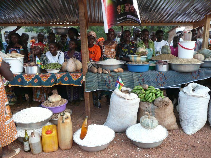 援中非高级农业咨询专家组深入非洲腹地考察_