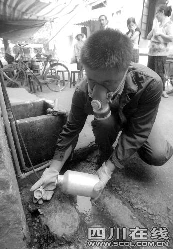 ��������г����˳ɶ�����è���Ϸ���Ԫ����