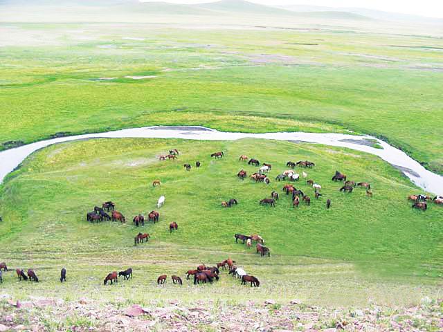内蒙古:肥美草原何处有?