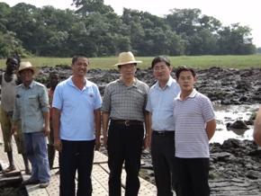 פ�չ���������ʹ�����������̲��޲̷��Ƹ��ձ�������