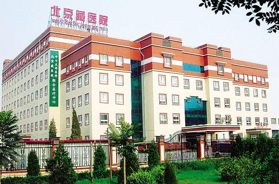 庆祝中日友好医院北京藏医院联合医疗中心成立