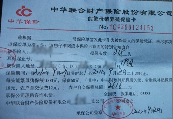 中华联合母猪保险被曝涉假 国家支农资金疑流