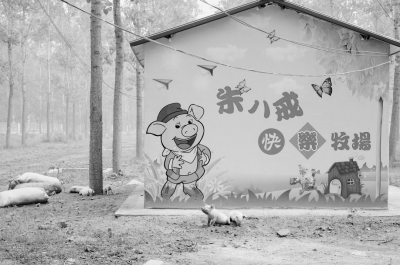 ͼƬ��������´��ڴ򿪲鿴