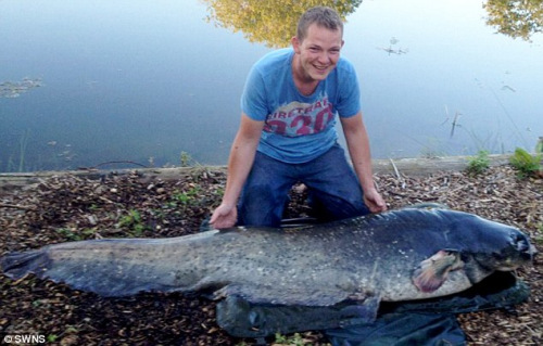 男子钓上英国最大淡水鱼 长2米重达65公斤(图