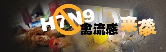 云南公布防治h7n9流感中药方 不含板蓝根,流感,药方,板蓝根