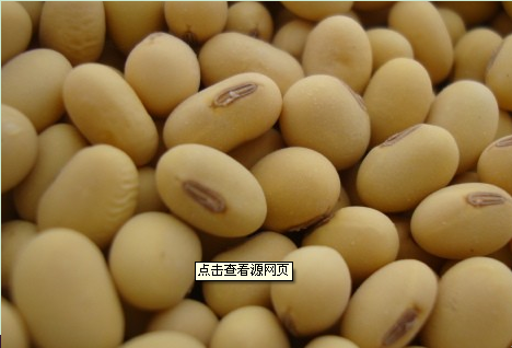 大豆种子入库条件
