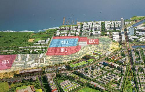 旧金山猎人角:美国移民局模范认证,史上最成功