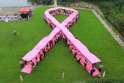 2014富士胶片粉红丝带行动举行_美通社资讯