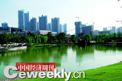 重庆南岸区花上亿元改造树种遭质疑(组图)