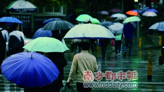 深圳文锦路:活在迟滞舒缓的时光里(组图)