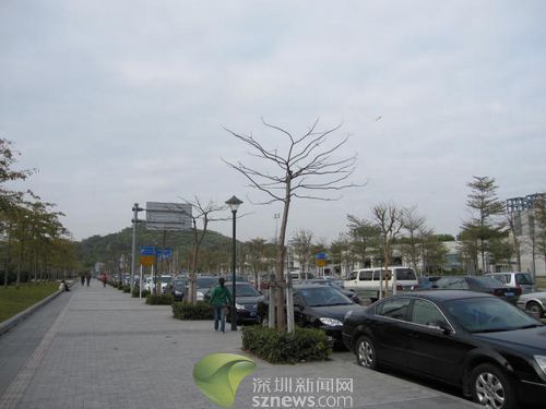 迎大运 深圳将耗资9419万提升城市照明设施(图)
