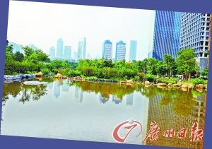 广东省长黄华华创作组诗赞美城市环境变化(组图)
