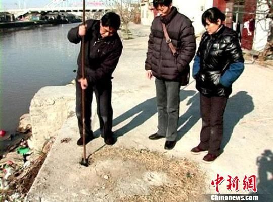 江苏泰州官方称芦苇杆当钢筋筑堤坝报道不实
