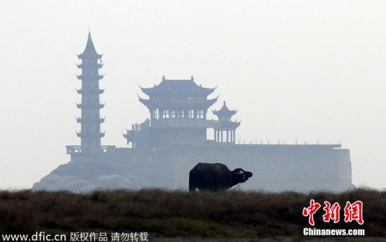 阳湖持续极枯水位 湖心落星墩景观水落石出