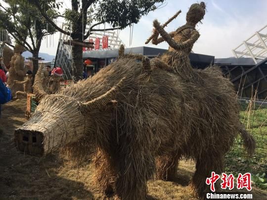 米果果小镇。 李倩倩 摄 古城焕新颜 浙江绍兴整治“组合拳”擘画经济图