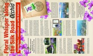 新加坡《海峡时报》·兰花 “丝路”先行者“花语”寄全球 “海丝”发祥地广州以花为媒
