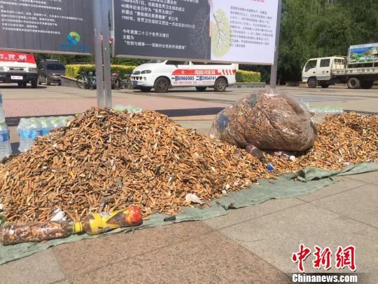 烟头很快便堆成一座“小山” 呼和浩特4000环卫工人一天捡出一座“烟头山”
