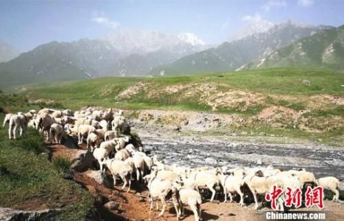 资料图:夏日的祁连山风景如画。 郎文瑞 摄 7省市列环保督察整改清单 甘肃数十次提及祁连山