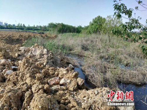 中央第四环保督察组现场督察发现正在被损毁的巢湖滨湖湿地。 环保部供图 7省份环保问题清单出炉 多地“假装治污”被点名