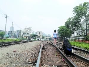 红专厂铁路 广州研究废旧铁路更新改造 何处老铁路将变新公园