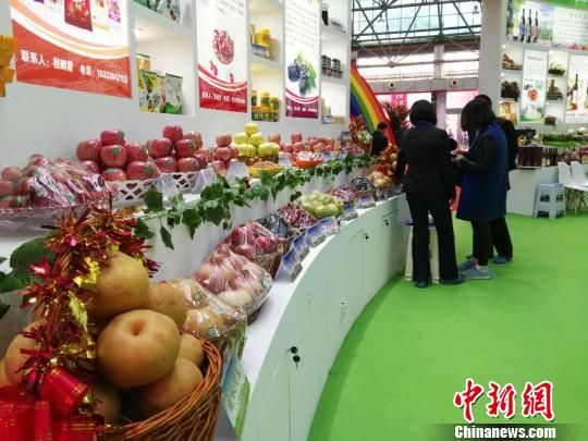 山西运城举办国际果品交易博览会,吸引海外33国客商慕名而来。 李新锁 摄 山西运城“以果为媒”打造内陆开放平台 客商捧场