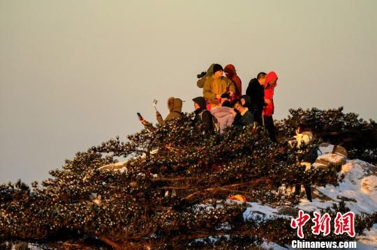 11日早晨,游客在黄山等待日出景观。 李金刚 摄 安徽黄山雪后放晴 日出、怪石、奇松竞秀