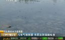 ��Ƶ���ӱ��ȷ��鲼��ɫ��ˮ�� �ؽ�������ߴ�108��