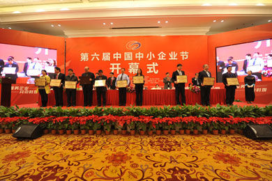 中国中小企业节表彰优秀中小企业创新成果案例