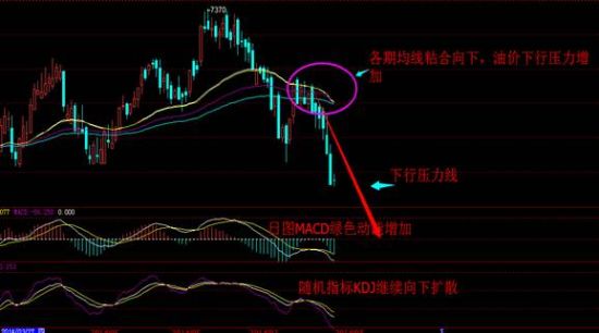 Sina forex