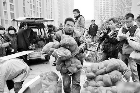 河南滑县萝卜哥改卖红薯 一上午卖3万斤_农业