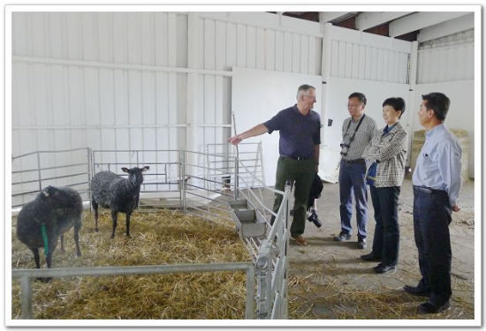 王侠主任率团访问波兰、芬兰和瑞典三国合作社