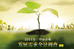 2011年中小企业高峰论坛