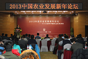 2013农业发展新年论坛现场