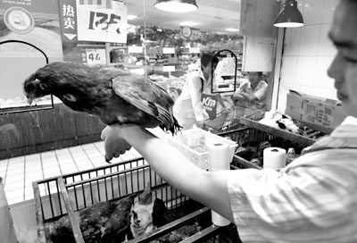 土鸡品牌排行_粉面婆:打造土鸡粉丝品牌,做加盟的最优选(2)