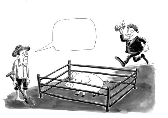 图片 你也要来养猪吗?_滚动新闻