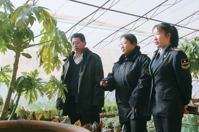 北京市平谷区质监指导农民标准化种植_滚动新闻