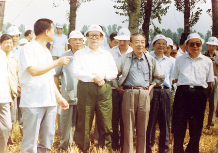 图文:1992年江泽民在南郊农场视察麦收_滚动
