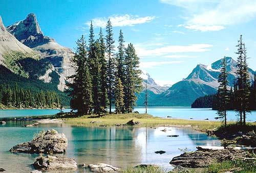 �̵�2009���й��¿��ŵ�����Ŀ�ĵع���(ͼ)