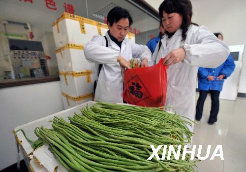 中国严控农药残留超标豇豆流入市场_滚动新闻