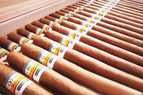 单支售价500欧元的古巴雪茄