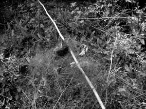 ���˵����п��µ�����