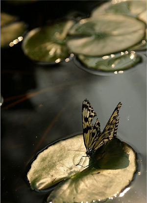 Ѱ�ҷ����е�����